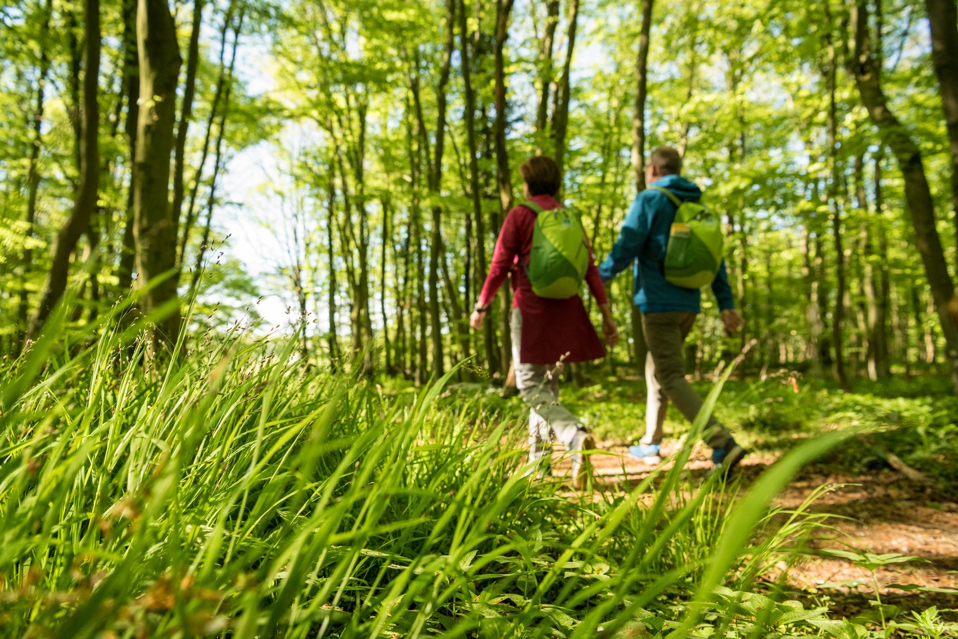 Ein Paar wandert durch einen grünen Wald mit Rucksäcken