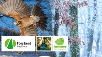 Ein Bild mit einem Vogel und winterlicher Waldlandschaft, Logos von Forstamt Neuhausen und Gemeinsam für den Wald
