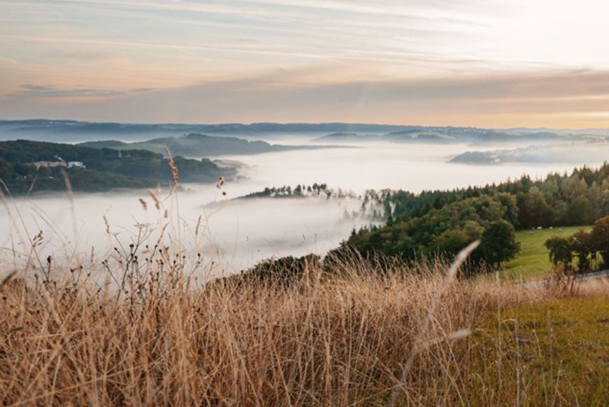 Ein glückliches Paar läuft Hand in Hand durch eine malerische Landschaft