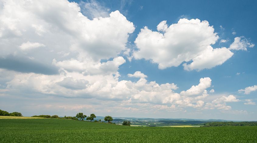 Himmel mit Wolken über grünem Feld und Bäumen