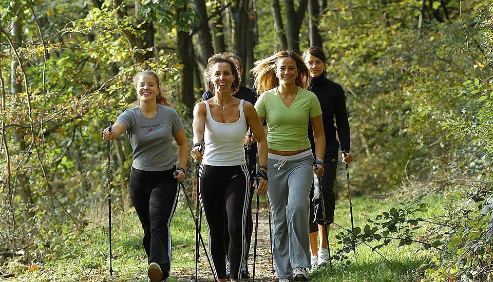 Frauen genießen Nordic Walking auf einem schmalen Pfad im Wald