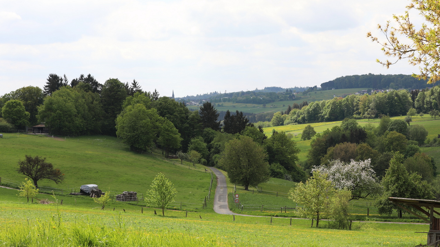 Weg durch eine idyllische grüne Landschaft mit Bäumen und Wiesen